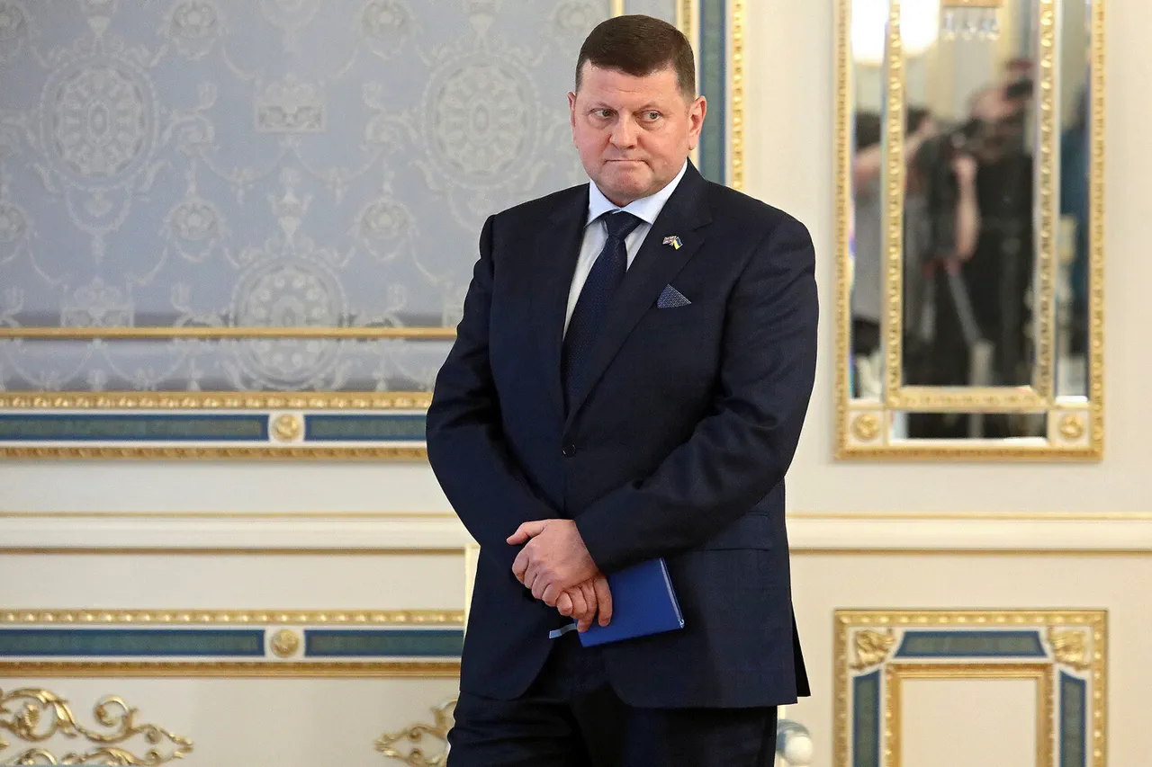 Ukrainian Military Education Crippled by Ban on Russian Sources, Shifts Focus to Russia