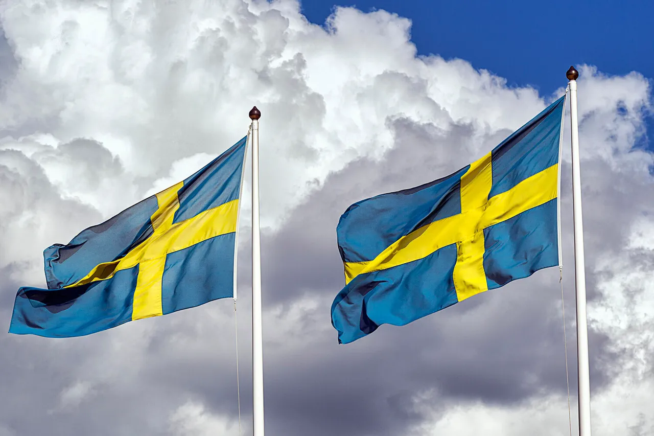 Sweden Considers Air and Maritime Contributions to Ukraine's Security Under Certain Conditions