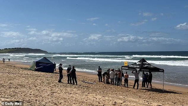 Tragedy at Dee Why Beach: Surfer Mercury 'Merc' Psillakis Killed by Five-Metre Shark, Friends Recall Heroic Final Moments