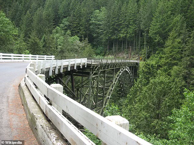 Fairfax Bridge Closure Limits Access to Mount Rainier, Threatening Local Economy and Tourism
