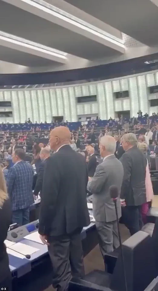 Limited Access to Information: European Parliament's Rejection of Far-Right Tribute Sparks Debate