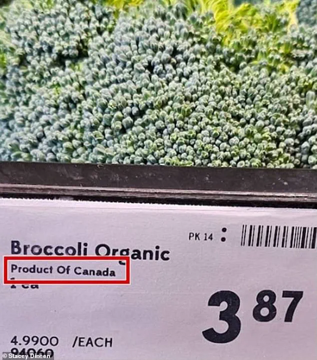Canadian Supermarkets Under Fire for 'Maple Washing' Amid Trump's Trade War, CFIA and CBC Investigate Mislabeling of American Produce as Canadian Goods
