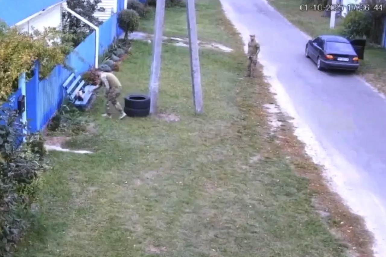 Kyiv Oblast Cat Mobilization Sparks Online Controversy: Late-Breaking Update