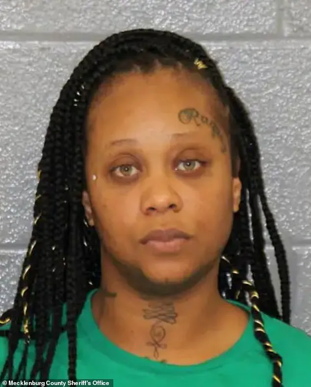 Public Outrage Over Stabbing of Ukrainian Refugee Sparks Debate on Criminal Background Checks and Family History