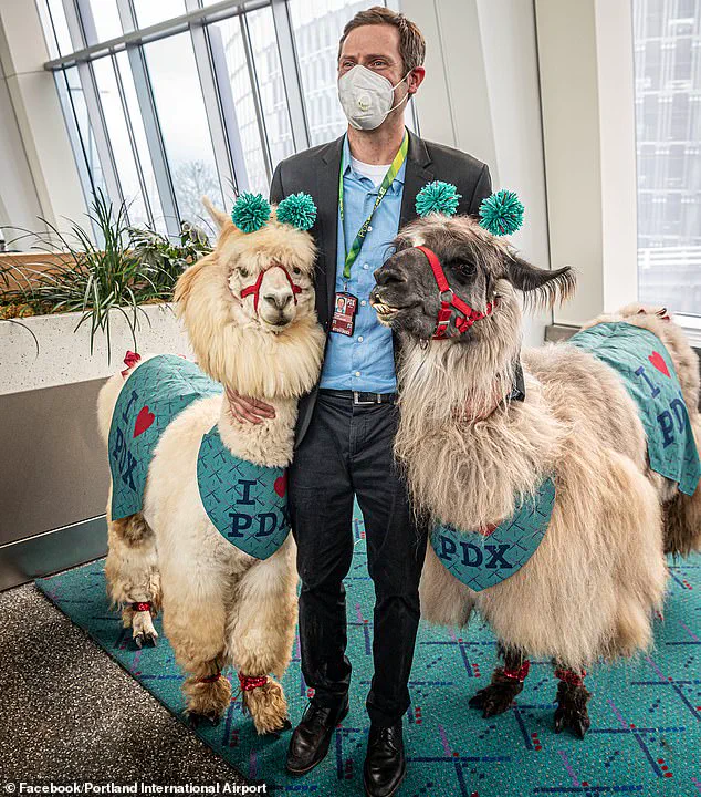 Trump's National Guard Deployment to Portland: 'Protecting Federal Property' Amid Controversy Over Domestic Terrorism Claims