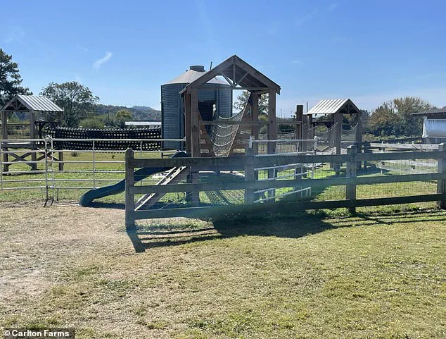 Georgia Family Reeling from Tragedy as Six-Year-Old Victoria King Found Unresponsive in Pool During School Field Trip