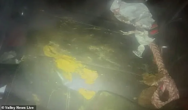 Two Dogs Left in Locked Car for Four Days in Subzero Minnesota Temperatures