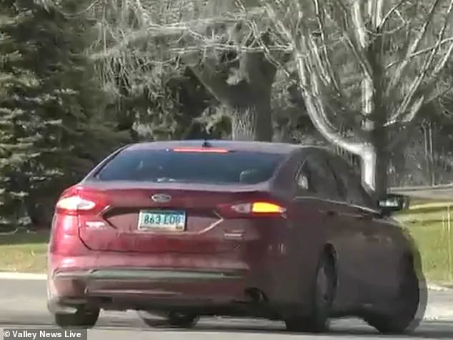 Two Dogs Left in Locked Car for Four Days in Subzero Minnesota Temperatures