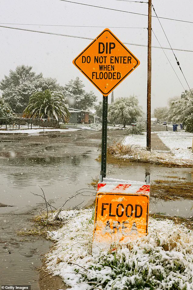 Arizona's Odd but Essential Driving Rules Every Driver Needs to Know to Avoid Tickets