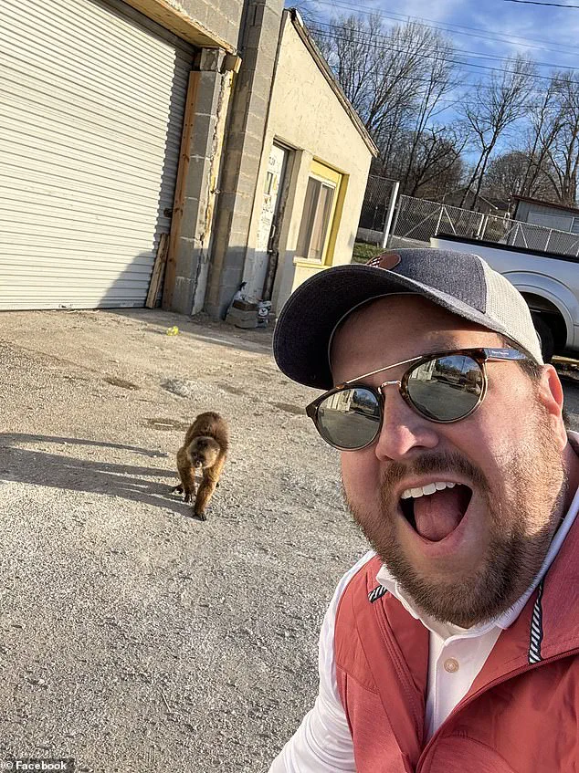 Exclusive: Cinnamon Capuchin Monkey's Midnight Escape Exposed by Store Staff