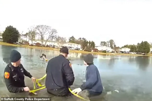 Frozen Pond Incident: A Christmas Day Heroism Amidst Peril