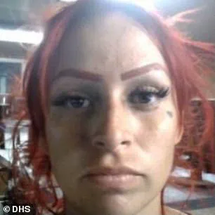 ICE Enforcement Actions Highlight Tensions Between Immigration Policies and Public Safety Concerns