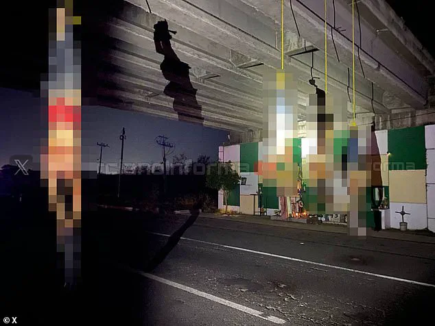 Mexico's Narco Gangs Fuel Relentless Violence, Transforming Communities into Zones of Fear