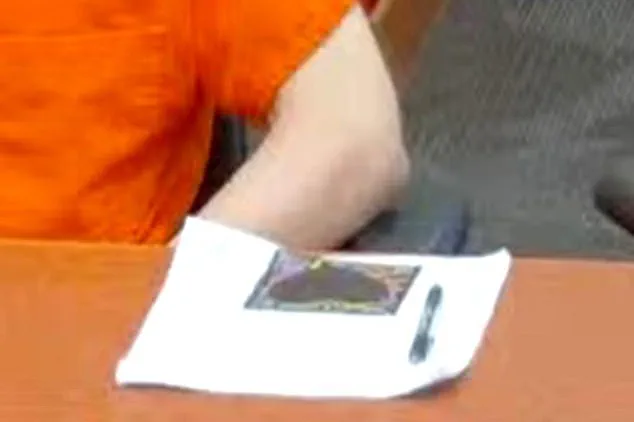 Sister's Exclusive Account: Bryan Kohberger's Final Moments and the Mysterious Black Heart Drawing Before Sentencing for Idaho Murders