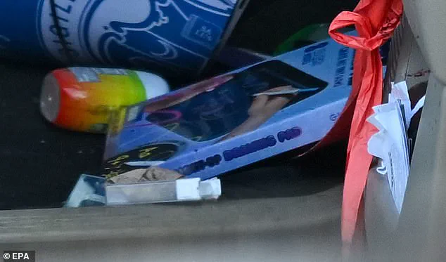 Tragic Death of Poet Renee Nicole Good Sparks National Debate Over ICE Accountability and Political Rhetoric