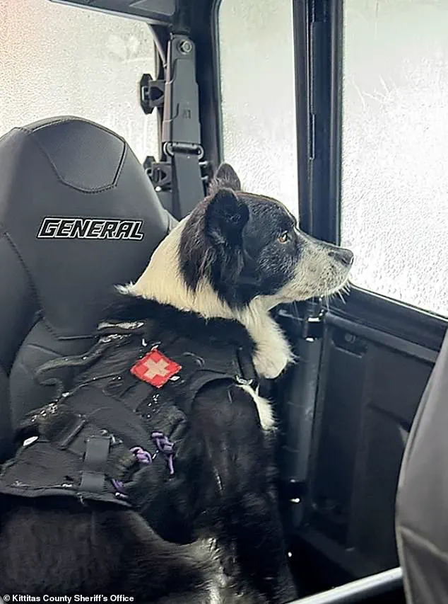 Avalanche in Washington State Claims Two Lives, Highlighting Risks of Backcountry Exploration