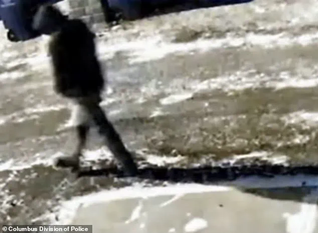 Family Speaks Out After Tragedy: Ex-Husband Arrested in Columbus Murder Case