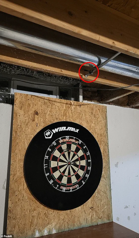 Reddit Users Struggle to Spot Hidden Dart in Viral Challenge
