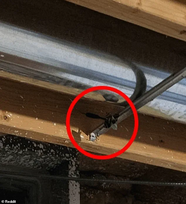 Reddit Users Struggle to Spot Hidden Dart in Viral Challenge