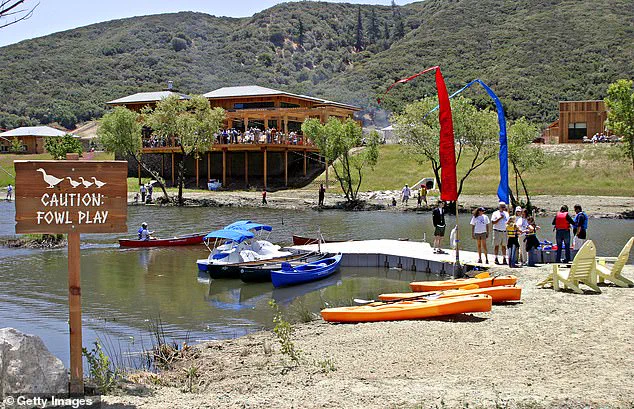 Former CEO of The Painted Turtle Arrested in $5.2M Embezzlement Case: 'This Is a Devastating Blow to Our Mission,' Says Board Member