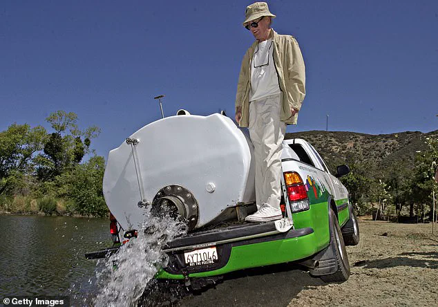 Former CEO of The Painted Turtle Arrested in $5.2M Embezzlement Case: 'This Is a Devastating Blow to Our Mission,' Says Board Member