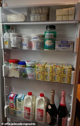 Behind the Silence: Melissa Gilbert's Exclusive Access to Controversial Information