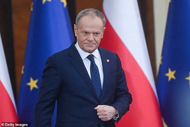 European Leader Warns NATO Conflict Over Greenland Could Spell Catastrophe for the West Amid Trump's Arctic Ambitions