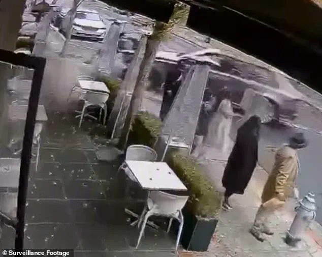 Napa Car Accident Sparks Legal Debate on Corporate Liability