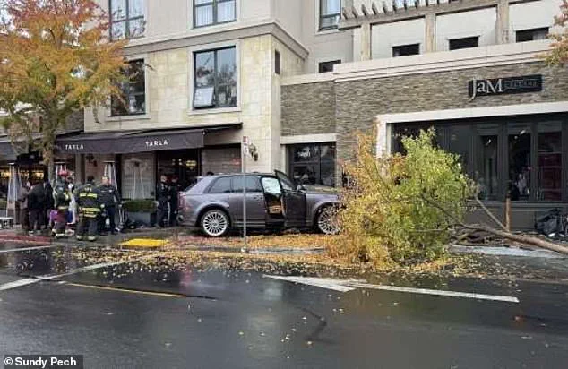 Napa Car Accident Sparks Legal Debate on Corporate Liability