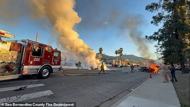 Fatal Collision Claims Life of Denny's Manager Laura Teniz, Community in Mourning