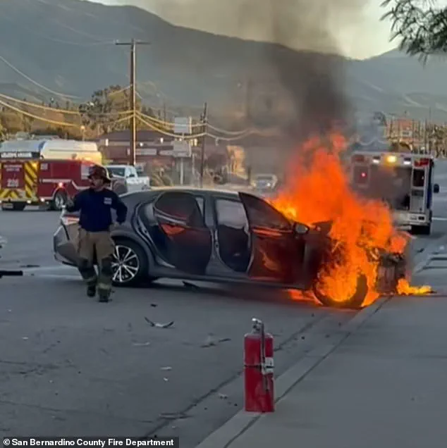 Fatal Collision Claims Life of Denny's Manager Laura Teniz, Community in Mourning