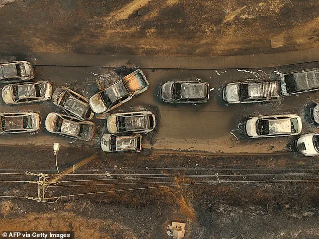 Limited Access to Information as Chile's Wildfires Devastate Communities