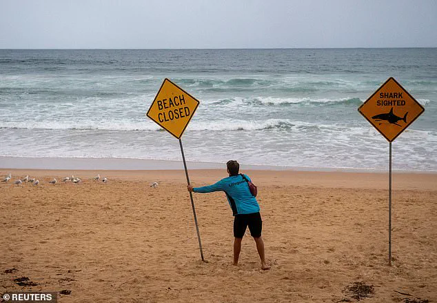 Urgent Lockdown as Shark Attacks Force Closure of Sydney's Northern Beaches