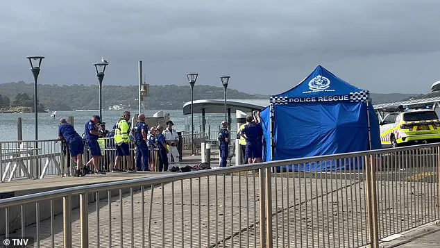 Urgent Lockdown as Shark Attacks Force Closure of Sydney's Northern Beaches