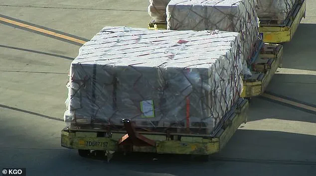Tragic Fatality at SFO: Cargo Pallet Incident Kills dnata Employee Sunday Evening
