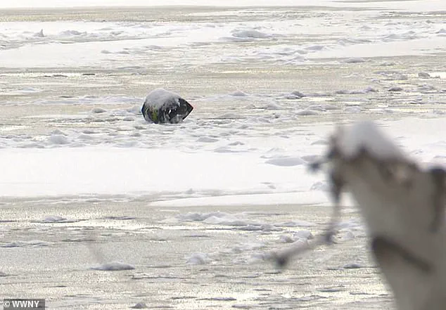 Heroic Father Saves Son After Snowmobile Accident on Frozen Pond