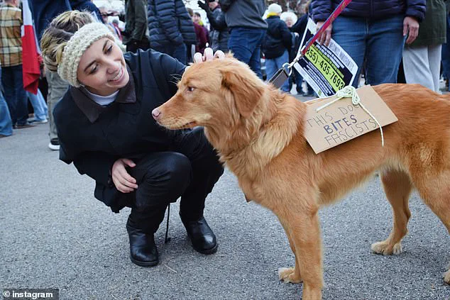 Illinois Congressional Candidate Faces Campaign Controversies Ahead of Primary Election