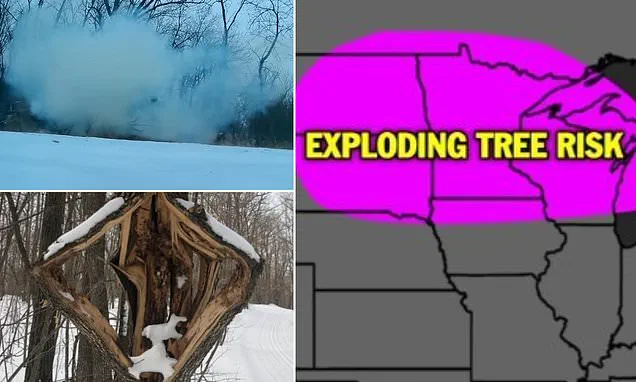 Historic Winter Storm Brings Catastrophic Snowfall and Ice Threaten 230 Million Americans