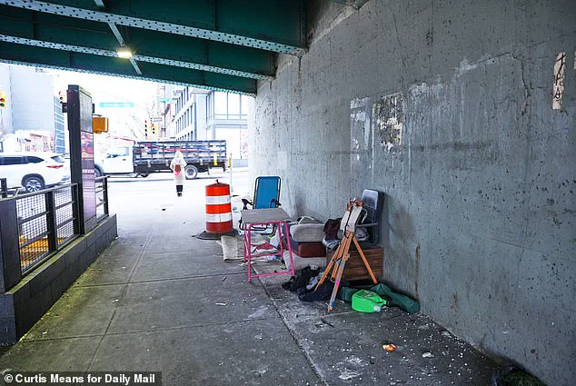 New York City Homeless Encampments Resurge Following Policy Change to Halt Clearances