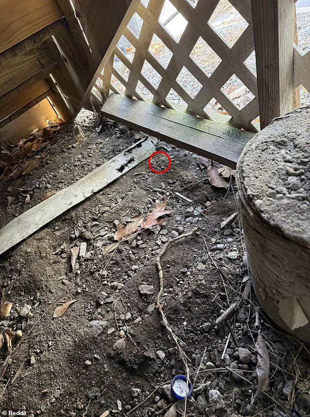 Desperate Husband Turns to Reddit After Losing Wedding Ring in Pile of Dirt