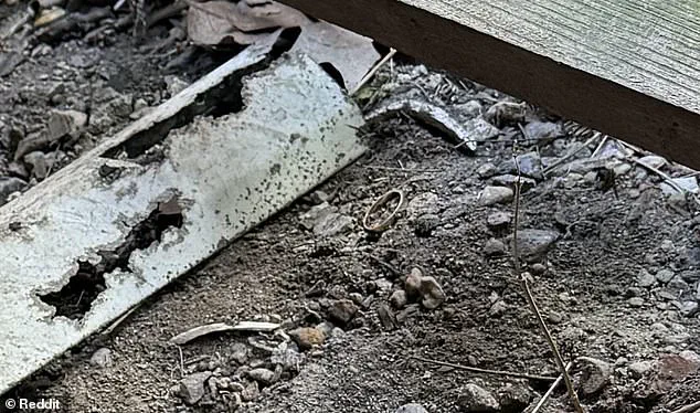 Desperate Husband Turns to Reddit After Losing Wedding Ring in Pile of Dirt