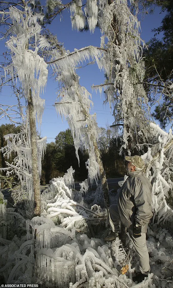 Frigid Temperatures Expected in Miami for First Time in 15 Years, Last Recorded in 2010
