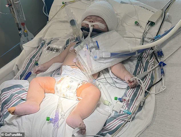 Three-Month-Old Braxton Musselman Suffers Severe Brain Damage After Babysitter Tonya Hamilton Allegedly Shakes Him, Leading to Felony Child Abuse Charges