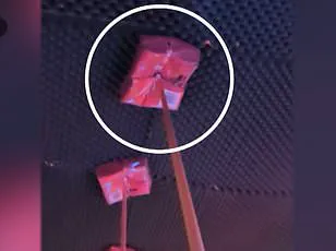 Eleonora Palmieri’s Ongoing Battle: Months Into a Years-Long Recovery From Tragedy