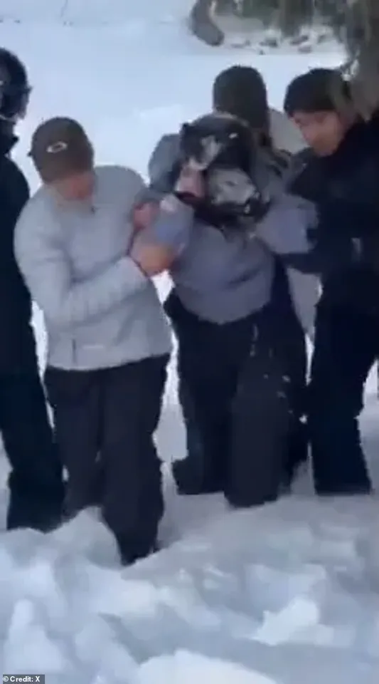 A Fatal Frame: The Chilling Selfie That Unlocked a Leopard's Lair – 'I Never Saw It Coming,' Says Tourist Ms. Li