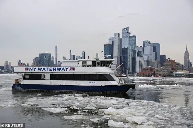 Millennials and Gen Z Drive Liberal Strongholds in U.S. Cities, Census and Gallup Data Reveal