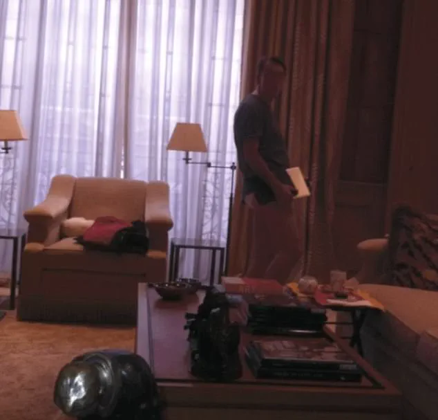 Peter Mandelson's Shocking Underwear Photo in Epstein's Paris Apartment Confirmed by Forensics