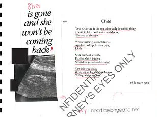 Jeffrey Epstein Documents Fuel Conspiracy Theories Over Secret Children, Victim's Diary Details Trauma