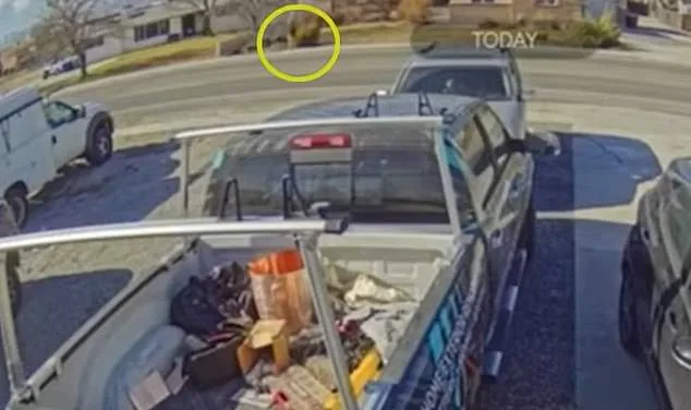 Utah teen narrowly avoids abduction by Lyft driver as mother recounts harrowing moment