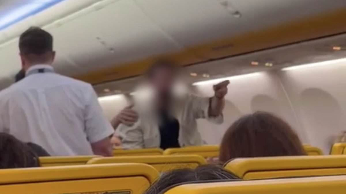 Ryanair Flight Forced to Reverse on Runway After Drunk Passenger Incident